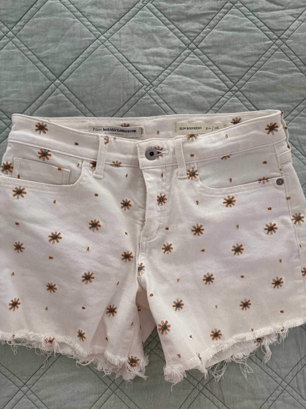 Anthropologie Pilcro Shorts | women’s size 26